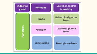 2. Endocrine regulation of Blood glucose.pptx