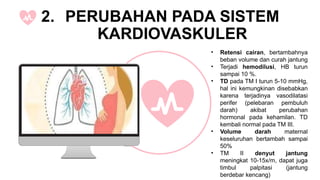 2. PERUBAHAN ANATOMI DAN ADAPTASI FISIOLOGI PADA IBU HAMIL.pptx