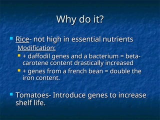 Why do it?
Why do it?
 Rice
Rice- not high in essential nutrients
- not high in essential nutrients
Modification:
Modification:
 + daffodil genes and a bacterium = beta-
+ daffodil genes and a bacterium = beta-
carotene content drastically increased
carotene content drastically increased
 + genes from a french bean = double the
+ genes from a french bean = double the
iron content.
iron content.
 Tomatoes- Introduce genes to increase
Tomatoes- Introduce genes to increase
shelf life.
shelf life.
 