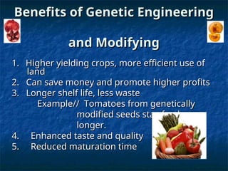 Benefits of Genetic Engineering
Benefits of Genetic Engineering
and Modifying
and Modifying
1.
1. Higher yielding crops, more efficient use of
Higher yielding crops, more efficient use of
land
land
2. Can save money and promote higher profits
2. Can save money and promote higher profits
3. Longer shelf life, less waste
3. Longer shelf life, less waste
Example// Tomatoes from genetically
Example// Tomatoes from genetically
modified seeds stay fresh
modified seeds stay fresh
longer.
longer.
4. Enhanced taste and quality
4. Enhanced taste and quality
5. Reduced maturation time
5. Reduced maturation time
 