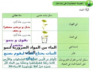 ‫مصفرا‬ ‫يرتخي‬ ‫و‬ ‫يذبل‬
‫يجف‬ ‫و‬
‫ينمو‬ ‫و‬ ‫يقوى‬
‫مخضرا‬
‫لنمو‬ ‫الضرورية‬ ‫المواد‬ ‫من‬ ‫الماء‬
‫النبات‬
‫بصنع‬ ‫ليقوم‬ ‫للماء‬ ‫يحتاج‬ ‫النبات‬
‫غذائه‬
َ‫ض‬ْ‫ر‬‫َأل‬‫ا‬َ‫و‬ ِ
‫ات‬َ‫او‬َ‫م‬َّ‫الس‬ َّ‫ن‬‫َأ‬ ‫وا‬ُ‫ر‬َ‫ف‬َ‫ك‬ َ‫ين‬ِ‫ذ‬َّ‫ال‬ َ‫ر‬َ‫ي‬ ْ‫م‬َ‫ل‬َ‫و‬‫َأ‬[
َّ‫ل‬ُ‫ك‬ ِ‫ء‬‫ا‬َ‫م‬‫ال‬ َ‫ن‬ِ‫م‬ ‫ا‬َ‫ن‬ْ‫ل‬َ‫ع‬َ‫ج‬َ‫و‬ ‫ا‬َ‫م‬ُ‫ه‬‫ا‬َ‫ن‬ْ‫ق‬َ‫ت‬َ‫ف‬َ‫ف‬ ‫ا‬ً‫ق‬ْ‫ت‬َ‫ر‬ ‫ا‬َ‫ت‬َ‫ن‬‫ا‬َ‫ك‬
:‫األنبياء‬ ]َ‫ون‬ُ‫ن‬ِ‫م‬‫ْؤ‬ُ‫ي‬ ‫اَل‬َ‫ف‬‫َأ‬
ٍّ‫ي‬َ‫ح‬ ٍ‫ء‬ْ‫ي‬ َ
‫ش‬
30
 