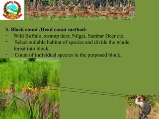 2. Wildlife Census and its importance in Willdlife management - Copy.pptx