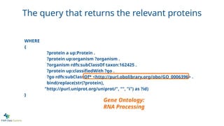 WHERE
{
?protein a up:Protein .
?protein up:organism ?organism .
?organism rdfs:subClassOf taxon:162425 .
?protein up:classifiedWith ?go .
?go rdfs:subClassOf* <http://purl.obolibrary.org/obo/GO_0006396> .
bind(replace(str(?protein),
"http://purl.uniprot.org/uniprot/", "", "i") as ?id)
}
Gene Ontology:
RNA Processing
The query that returns the relevant proteins
 