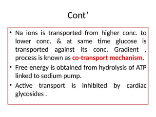 Carbohydrates : digestion and metabolism | PPTX