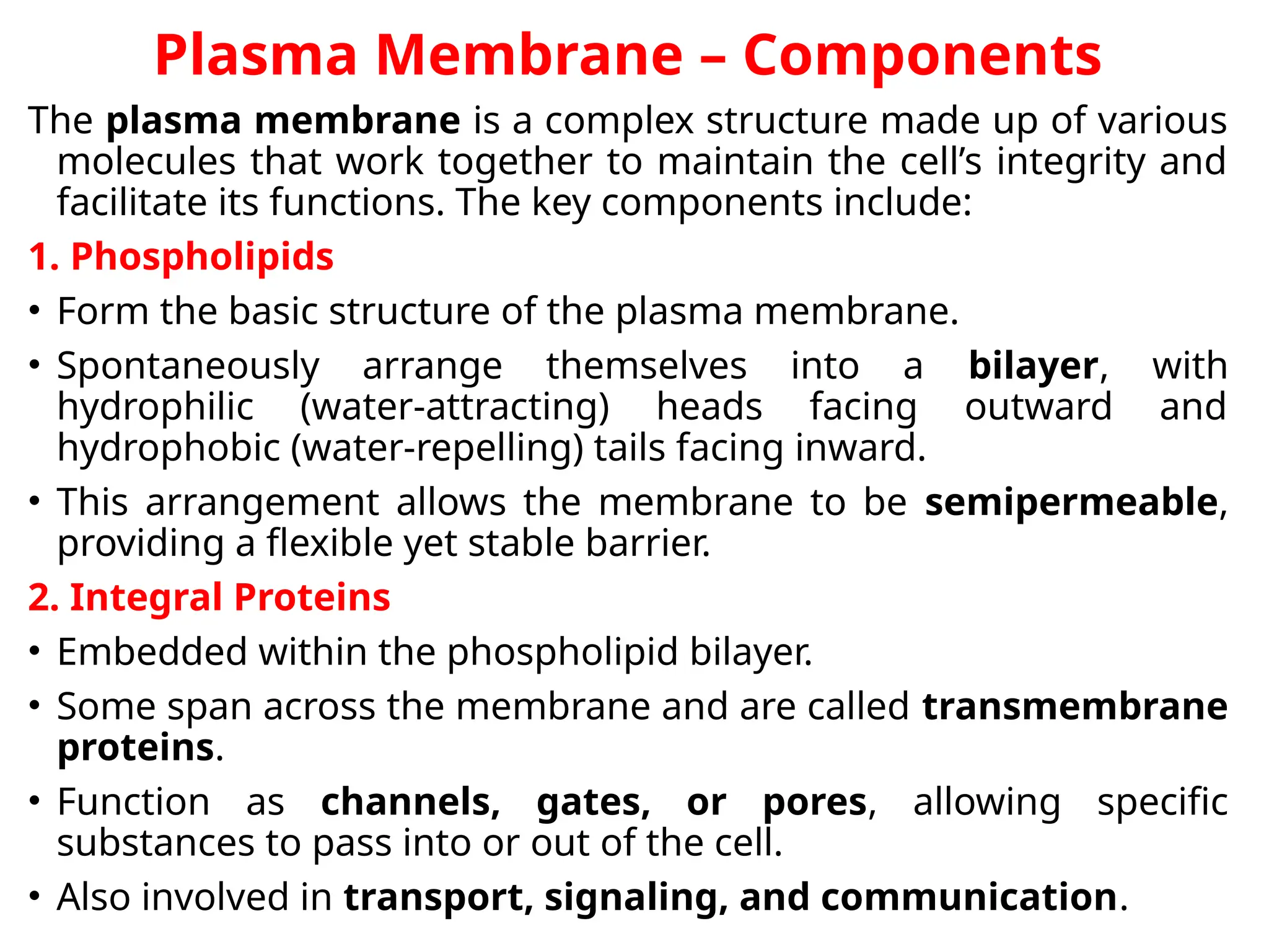 Plasma Membrane – Components
The plasma membrane is a complex structure made up of various
molecules that work together to maintain the cell’s integrity and
facilitate its functions. The key components include:
1. Phospholipids
• Form the basic structure of the plasma membrane.
• Spontaneously arrange themselves into a bilayer, with
hydrophilic (water-attracting) heads facing outward and
hydrophobic (water-repelling) tails facing inward.
• This arrangement allows the membrane to be semipermeable,
providing a flexible yet stable barrier.
2. Integral Proteins
• Embedded within the phospholipid bilayer.
• Some span across the membrane and are called transmembrane
proteins.
• Function as channels, gates, or pores, allowing specific
substances to pass into or out of the cell.
• Also involved in transport, signaling, and communication.
 
