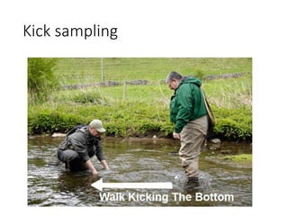 Kicki Sampling 2.5-Investigating-ecosystems_Resource 2.pptx