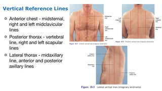 NURSING POWERPOINT ON 2. Thorax & Lungs.pdf