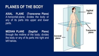Halves Body Part 2.GeneralAnatomicalTerminology,MajorBodyRegions ...