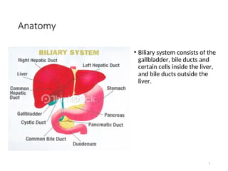 Topic Image evaluation of Biliary system.ppt