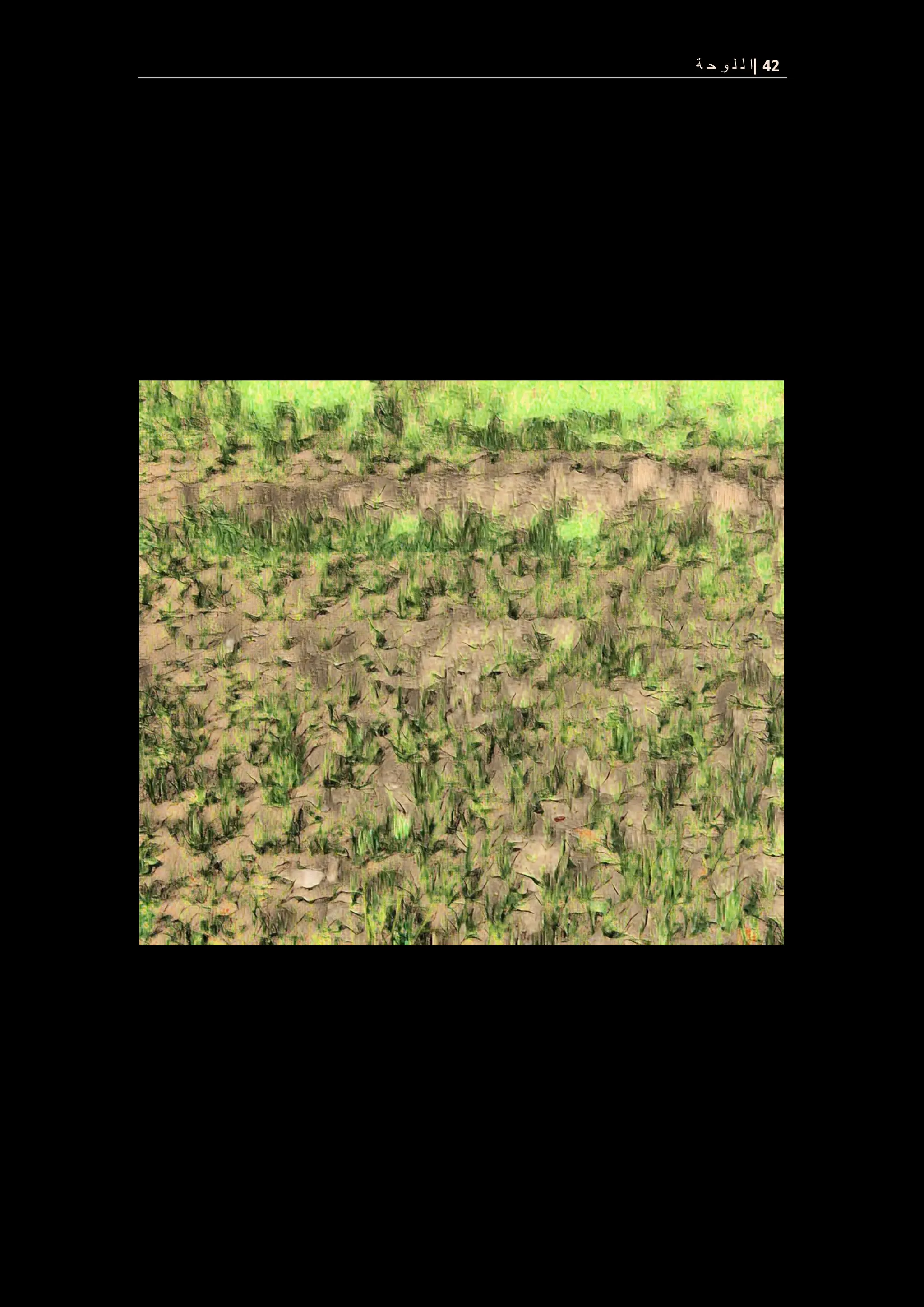 42
|
‫ة‬ ‫ح‬ ‫و‬ ‫ل‬ ‫ل‬ ‫ا‬
 