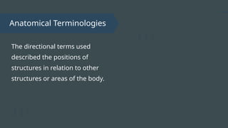 Anatomical Terminologies
The directional terms used
described the positions of
structures in relation to other
structures or areas of the body.
 