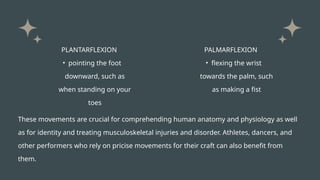 PLANTARFLEXION
• pointing the foot
downward, such as
when standing on your
toes
PALMARFLEXION
• flexing the wrist
towards the palm, such
as making a fist
These movements are crucial for comprehending human anatomy and physiology as well
as for identity and treating musculoskeletal injuries and disorder. Athletes, dancers, and
other performers who rely on pricise movements for their craft can also benefit from
them.
 