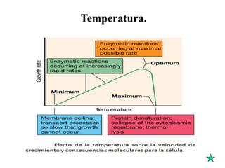 Temperatura.
 