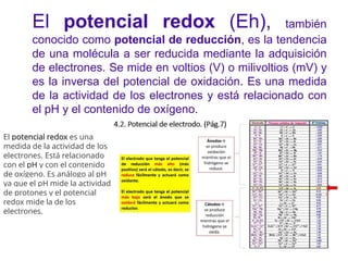 El potencial redox (Eh), también
conocido como potencial de reducción, es la tendencia
de una molécula a ser reducida mediante la adquisición
de electrones. Se mide en voltios (V) o milivoltios (mV) y
es la inversa del potencial de oxidación. Es una medida
de la actividad de los electrones y está relacionado con
el pH y el contenido de oxígeno.
El potencial redox es una
medida de la actividad de los
electrones. Está relacionado
con el pH y con el contenido
de oxígeno. Es análogo al pH
ya que el pH mide la actividad
de protones y el potencial
redox mide la de los
electrones.
 