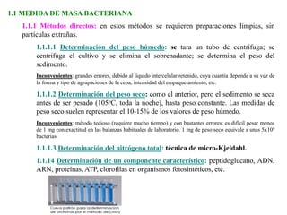 1.1 MEDIDA DE MASA BACTERIANA
1.1.1 Métodos directos: en estos métodos se requieren preparaciones limpias, sin
partículas extrañas.
1.1.1.1 Determinación del peso húmedo: se tara un tubo de centrífuga; se
centrifuga el cultivo y se elimina el sobrenadante; se determina el peso del
sedimento.
Inconvenientes: grandes errores, debido al líquido intercelular retenido, cuya cuantía depende a su vez de
la forma y tipo de agrupaciones de la cepa, intensidad del empaquetamiento, etc.
1.1.1.2 Determinación del peso seco: como el anterior, pero el sedimento se seca
antes de ser pesado (105oC, toda la noche), hasta peso constante. Las medidas de
peso seco suelen representar el 10-15% de los valores de peso húmedo.
Inconvenientes: método tedioso (requiere mucho tiempo) y con bastantes errores: es difícil pesar menos
de 1 mg con exactitud en las balanzas habituales de laboratorio. 1 mg de peso seco equivale a unas 5x109
bacterias.
1.1.1.3 Determinación del nitrógeno total: técnica de micro-Kjeldahl.
1.1.14 Determinación de un componente característico: peptidoglucano, ADN,
ARN, proteínas, ATP, clorofilas en organismos fotosintéticos, etc.
 