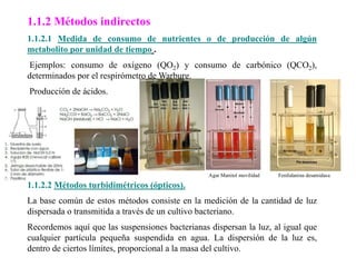 1.1.2 Métodos indirectos
1.1.2.1 Medida de consumo de nutrientes o de producción de algún
metabolito por unidad de tiempo .
Ejemplos: consumo de oxígeno (QO2) y consumo de carbónico (QCO2),
determinados por el respirómetro de Warburg.
Producción de ácidos.
1.1.2.2 Métodos turbidimétricos (ópticos).
La base común de estos métodos consiste en la medición de la cantidad de luz
dispersada o transmitida a través de un cultivo bacteriano.
Recordemos aquí que las suspensiones bacterianas dispersan la luz, al igual que
cualquier partícula pequeña suspendida en agua. La dispersión de la luz es,
dentro de ciertos límites, proporcional a la masa del cultivo.
Fenilalanina desamidasa
Agar Manitol movilidad
 