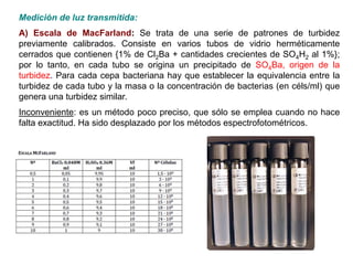 Medición de luz transmitida:
A) Escala de MacFarland: Se trata de una serie de patrones de turbidez
previamente calibrados. Consiste en varios tubos de vidrio herméticamente
cerrados que contienen {1% de Cl2Ba + cantidades crecientes de SO4H2 al 1%};
por lo tanto, en cada tubo se origina un precipitado de SO4Ba, origen de la
turbidez. Para cada cepa bacteriana hay que establecer la equivalencia entre la
turbidez de cada tubo y la masa o la concentración de bacterias (en céls/ml) que
genera una turbidez similar.
Inconveniente: es un método poco preciso, que sólo se emplea cuando no hace
falta exactitud. Ha sido desplazado por los métodos espectrofotométricos.
 