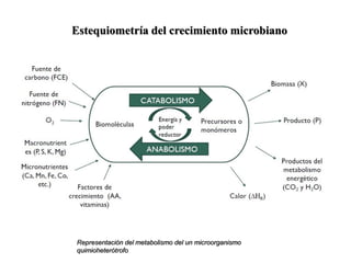 Estequiometría del crecimiento microbiano
Representación del metabolismo del un microorganismo
quimioheterótrofo
 