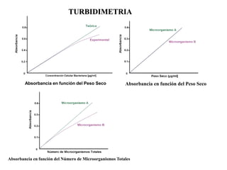 Absorbancia en función del Peso Seco
Absorbancia en función del Peso Seco
TURBIDIMETRIA
Absorbancia en función del Número de Microorganismos Totales
 