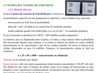 1.2 MEDIDA DEL NÚMERO DE INDIVIDUOS
1.2.1 Métodos directos
1.2.1.1 Cámara de recuento de Petroff-Hauser: Consiste en
un portaobjetos especial con una graduación en superficie y unas medidas muy concretas:
excavación con 0.02 mm de profundidad;
área de 1 mm2, dividida en un retículo de 25 cuadrados grandes;
cada cuadrado grande está subdividido a su vez en 4x4 = 16 cuadrados pequeños.
O sea, la muestra se distribuye en 16X25 = 400 celdillas (cuadros pequeños).
La muestra, una vez dispensada entre el porta y el cubre, se deja reposar sobre la plataforma
del microscopio durante unos minutos, y se cuenta el número de células en varias celdillas
(normalmente en 16, equivalentes a uno de los cuadros grandes). Se anota el número n de
células observadas en esas 16 celdillas. Entonces, la concentración celular es fácil de
establecer:
n x 25 x 50 x 1000 = concentración en células/ml.
Ventajas: es un método muy rápido
Inconvenientes: sólo sirve para suspensiones relativamente concentradas (>10x106 céls./ml).
Por debajo de este valor el número de células vistas en el campo del microscopio es muy
pequeño y poco significativo estadísticamente. En bacterias móviles, hay que inmovilizarlas
 