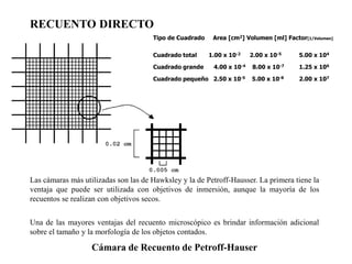 RECUENTO DIRECTO
Las cámaras más utilizadas son las de Hawksley y la de Petroff-Hausser. La primera tiene la
ventaja que puede ser utilizada con objetivos de inmersión, aunque la mayoría de los
recuentos se realizan con objetivos secos.
Una de las mayores ventajas del recuento microscópico es brindar información adicional
sobre el tamaño y la morfología de los objetos contados.
Cámara de Recuento de Petroff-Hauser
Tipo de Cuadrado Area [cm2] Volumen [ml] Factor[1/Volumen]
Cuadrado total 1.00 x 10-2 2.00 x 10-5 5.00 x 104
Cuadrado grande 4.00 x 10-4 8.00 x 10-7 1.25 x 106
Cuadrado pequeño 2.50 x 10-5 5.00 x 10-8 2.00 x 107
 