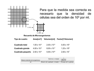 Recuento de Microorganismos
Tipo de cuadro Area[cm2] Volumen[ml] Factor[1/Volumen]
Cuadrado total 1.00 x 10-2 2.00 x 10-5 5.00 x 104
Cuadrado grande 4.00 x 10-4 8.00 x 10-7 1.25 x 106
Cuadrado pequeño 2.50 x 10-5 5.00 x 10-8 2.00 x 107
Para que la medida sea correcta es
necesario que la densidad de
células sea del orden de 105 por ml.
 