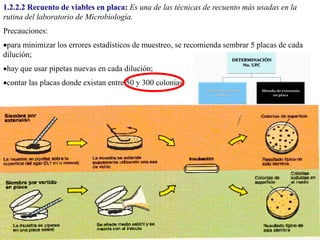 1.2.2.2 Recuento de viables en placa: Es una de las técnicas de recuento más usadas en la
rutina del laboratorio de Microbiología.
Precauciones:
para minimizar los errores estadísticos de muestreo, se recomienda sembrar 5 placas de cada
dilución;
hay que usar pipetas nuevas en cada dilución;
contar las placas donde existan entre 50 y 300 colonias.
 