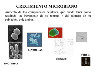 CRECIMIENTO MICROBIANO
Aumento de los componentes celulares, que puede tener como
resultado un incremento de su tamaño o del número de su
población, o de ambos.
BACTERIAS
LEVADURAS
HONGOS
VIRUS
 