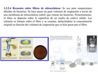 1.2.2.4 Recuento sobre filtros de nitrocelulosa: Se usa para suspensiones
diluidas de bacterias. Se hace pasar un gran volumen de suspensión a través de
una membrana de nitrocelulosa estéril, que retiene las bacterias. Posteriormente,
el filtro se deposita sobre la superficie de un medio de cultivo sólido. Las
colonias se forman sobre el filtro y se cuentan, deduciéndose la concentración
original en función del volumen de suspensión que se hizo pasar por el filtro.
 