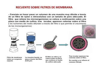 RECUENTO SOBRE FILTROS DE MEMBRANA
 