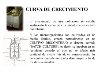 CURVA DE CRECIMIENTO
El crecimiento de una población se estudia
analizando la curva de crecimiento de un cultivo
microbiano.
Si los microorganismos son cultivados en un
medio líquido, crecen normalmente en un
CULTIVO DISCONTINUO o sistema cerrado
(BATCH CULTURE), es decir, se incuban en un
recipiente cerrado al que no se añade más
cantidad de medio inicial; en consecuencia, las
concentraciones de nutrientes disminuyen y las de
residuos aumentan.
 