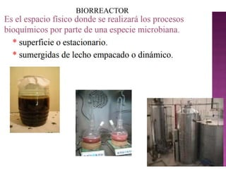BIORREACTOR
 