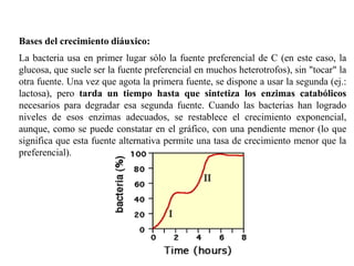 Bases del crecimiento diáuxico:
La bacteria usa en primer lugar sólo la fuente preferencial de C (en este caso, la
glucosa, que suele ser la fuente preferencial en muchos heterotrofos), sin "tocar" la
otra fuente. Una vez que agota la primera fuente, se dispone a usar la segunda (ej.:
lactosa), pero tarda un tiempo hasta que sintetiza los enzimas catabólicos
necesarios para degradar esa segunda fuente. Cuando las bacterias han logrado
niveles de esos enzimas adecuados, se restablece el crecimiento exponencial,
aunque, como se puede constatar en el gráfico, con una pendiente menor (lo que
significa que esta fuente alternativa permite una tasa de crecimiento menor que la
preferencial).
 