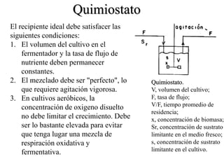 El recipiente ideal debe satisfacer las
siguientes condiciones:
1. El volumen del cultivo en el
fermentador y la tasa de flujo de
nutriente deben permanecer
constantes.
2. El mezclado debe ser "perfecto", lo
que requiere agitación vigorosa.
3. En cultivos aeróbicos, la
concentración de oxigeno disuelto
no debe limitar el crecimiento. Debe
ser lo bastante elevada para evitar
que tenga lugar una mezcla de
respiración oxidativa y
fermentativa.
Quimiostato.
V, volumen del cultivo;
F, tasa de flujo;
V/F, tiempo promedio de
residencia;
x, concentración de biomasa;
Sr, concentración de sustrato
limitante en el medio fresco;
s, concentración de sustrato
limitante en el cultivo.
Quimiostato
 