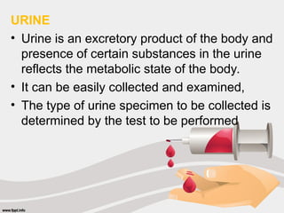 URINE
• Urine is an excretory product of the body and
presence of certain substances in the urine
reflects the metabolic state of the body.
• It can be easily collected and examined,
• The type of urine specimen to be collected is
determined by the test to be performed
 