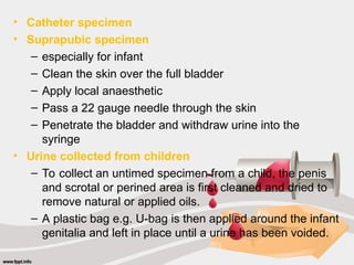 • Catheter specimen
• Suprapubic specimen
– especially for infant
– Clean the skin over the full bladder
– Apply local anaesthetic
– Pass a 22 gauge needle through the skin
– Penetrate the bladder and withdraw urine into the
syringe
• Urine collected from children
– To collect an untimed specimen from a child, the penis
and scrotal or perined area is first cleaned and dried to
remove natural or applied oils.
– A plastic bag e.g. U-bag is then applied around the infant
genitalia and left in place until a urine has been voided.
 