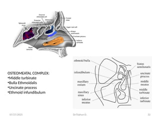 2. Anatomy of Nose and PNS is a basic science on medicine.pptx