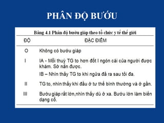 PHÂN ĐỘ BƯỚU
 