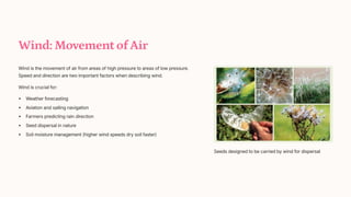 Wind: Movement of Air
Wind is the movement of air from areas of high pressure to areas of low pressure.
Speed and direction are two important factors when describing wind.
Wind is crucial for:
Weather forecasting
Aviation and sailing navigation
Farmers predicting rain direction
Seed dispersal in nature
Soil moisture management (higher wind speeds dry soil faster)
Seeds designed to be carried by wind for dispersal
 