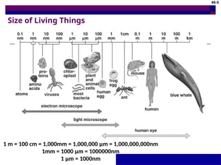 Microscope Sizes Cell Structure and Taxonomy-1.ppt....... | PPT