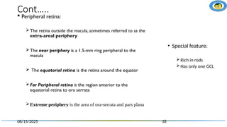 2. Retina_part_I.pptx anatomy and physiology | PPTX