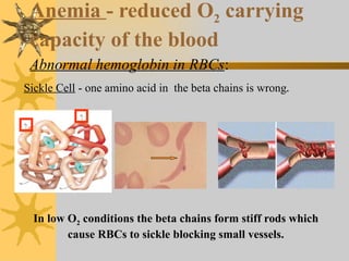 all about anemia from hematology for first year MBBS | PPTX