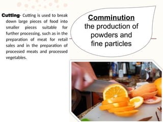 SIZE REDUCTION OF SOLID FOODS IN ENGINEERING | PPTX