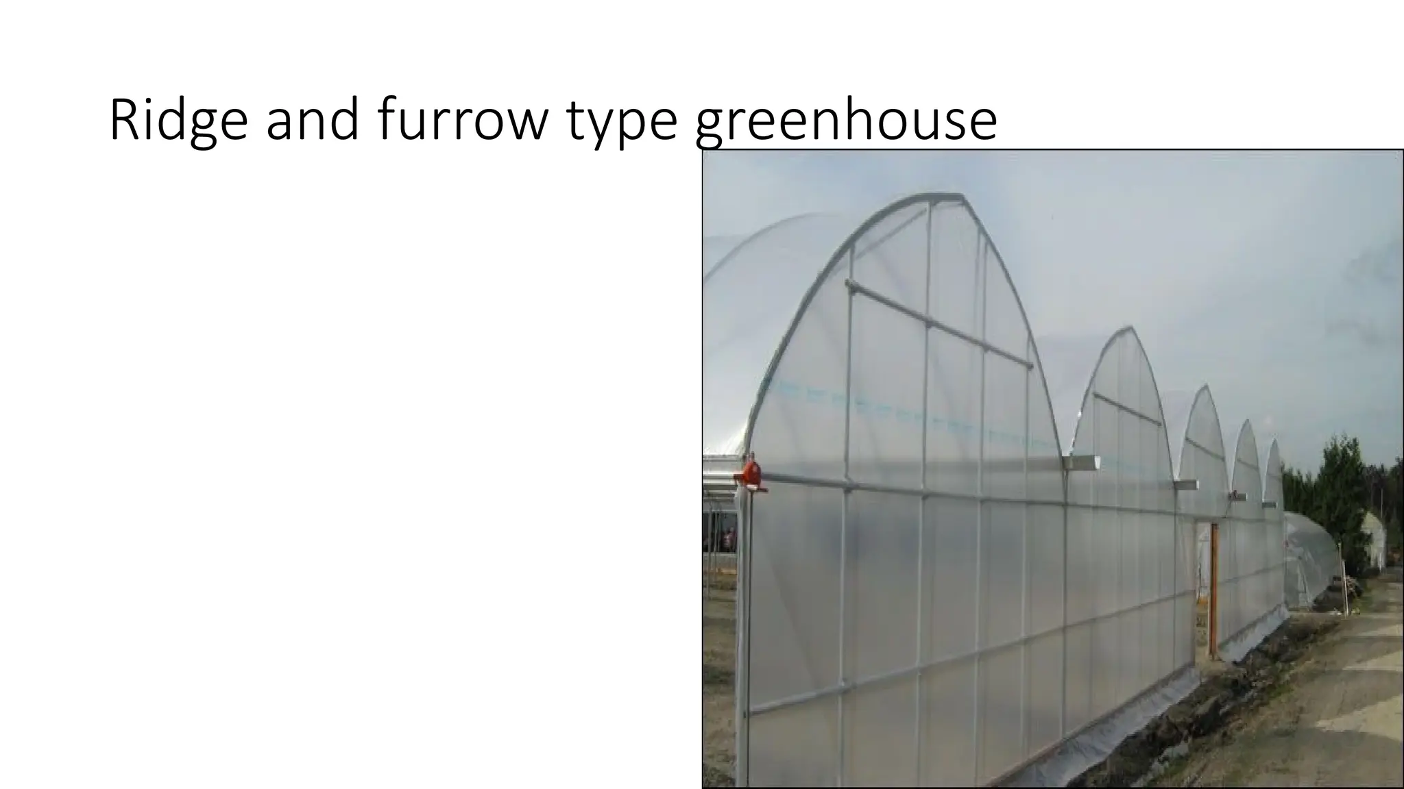 Ridge and furrow type greenhouse
 
