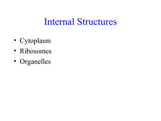 2. Anatomy and Physiology of Prokaryotic Cells.ppt
