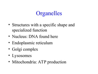 2. Anatomy and Physiology of Prokaryotic Cells.ppt