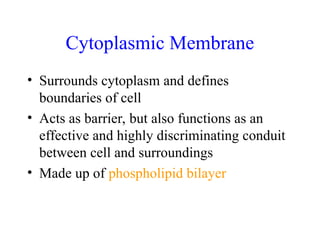 2. Anatomy and Physiology of Prokaryotic Cells.ppt
