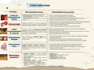 Microorganismo Causal
La colitis puede ser producida por diversas cepas patógenas de E. coli:
ETEC (enterotoxigénica) →causa diarrea acuosa del viajero.
EHEC (enterohemorrágica) → causa colitis hemorrágica y puede
complicarse con síndrome urémico hemolítico.
EIEC (enteroinvasiva) → provoca diarrea disentérica similar a la
shigelosi
Producida por cepas de E. coli con capacidad de
adherirse en forma agregada al epitelio intestinal,
provocando inflamación crónica y diarrea persistente.
Su agente causal es Clostridioides (Clostridium)
difficile. Este microorganismo se multiplica tras el uso
de antibióticos de amplio espectro y produce toxinas
que lesionan el epitelio colónico
Está producida por Tropheryma whipplei, una
bacteria grampositiva de la familia de las
actinobacterias.
Generalidades de la patología
ETEC no es invasiva; coloniza el intestino delgado.
Produce toxinas termolábiles (TL) y termoestables (TE):
Causa diarrea secretora no inflamatoria, con cambios histológicos mínimos.
Puede provocar deshidratación y, en casos graves, shock.
Se adhiere a enterocitos en patrón de “pila de ladrillos” mediante fimbrias y dispersina.
Provoca diarrea no hemorrágica, principalmente en niños y viajeros.
Produce cambios histológicos mínimos.
La diarrea puede prolongarse en personas con inmunodeficiencia.
Alteración de la microbiota intestinal por antibióticos →proliferación de Clostridioides difficile.
Bacilo grampositivo formador de esporas.
Producción de toxinas (A y B) →daño al citoesqueleto epitelial, apoptosis y pérdida de la barrera intestinal.
Formación de seudomembranas purulentas en el colon.
Lesión intestinal puede progresar a megacolon tóxico
Acumulación de macrófagos con bacterias en intestino y ganglios mesentéricos,
causando malabsorción.
Más frecuente en hombres adultos con exposición a suelo o animales.
Tríada típica: diarrea, adelgazamiento y artralgias; puede afectar otros órganos.
Produce diarrea líquida, vómitos, dolor abdominal y malabsorción transitoria.
Se transmite por vía fecal-oral, alimentos o agua contaminada, y fomites.
Norovirus y rotavirus son responsables de brotes epidémicos y alta morbilidad en
regiones con recursos limitados.
Los adenovirus provocan daño epitelial intestinal leve y atrofia vellosa
Colitis por
Escherichia coli
(ETEC)
Colitis por EAEC
Colitis
seudomembranosa
(C. difficile)
Enfermedad de
Whipple
Colitis infecciosas
Patología
Los principales agentes son virus entéricos como
Rotavirus, Norovirus, Adenovirus entéricos y
Astrovirus. Son muy frecuentes en niños y adultos,
produciendo diarrea acuosa, vómitos y fiebre de
corta duración.
Entamoeba histolytica → causa amebiasis
intestinal con úlceras en "botón de camisa" y
diarrea sanguinolenta.
Giardia lamblia → ocasiona diarrea acuosa y
malabsorción.
Cryptosporidium parvum → produce diarrea
acuosa, más grave en inmunodeprimidos.
Cyclospora cayetanensis y Isospora belli →
también causan diarreas prolongadas en personas
vulnerables.
Síntomas: Diarrea
Epidemiología: Niños, adolescentes, adultos
Transmisión: Fecal - Oral, Piel
Sitios IG Afectados: Intestino delgado
Complicaciones: Diarrea Hemorrágica
Gastroenteritis
vírica
Enterocolitis
parasitaria
 
