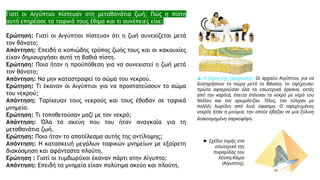 4
Γιατί οι Αιγύπτιοι πίστευαν στη μεταθανάτια ζωή; Πώς η πίστη
αυτή επηρέασε τα ταφικά τους έθιμα και τι συνέπειες είχε;
Ερώτηση: Γιατί οι Αιγύπτιοι πίστευαν ότι η ζωή συνεχίζεται μετά
τον θάνατο;
Απάντηση: Επειδή ο κοπιώδης τρόπος ζωής τους και οι κακουχίες
είχαν δημιουργήσει αυτή τη βαθιά πίστη.
Ερώτηση: Ποια ήταν η προϋπόθεση για να συνεχιστεί η ζωή μετά
τον θάνατο;
Απάντηση: Να μην καταστραφεί το σώμα του νεκρού.
Ερώτηση: Τι έκαναν οι Αιγύπτιοι για να προστατεύσουν το σώμα
του νεκρού;
Απάντηση: Ταρίχευαν τους νεκρούς και τους έθαβαν σε ταφικά
μνημεία.
Ερώτηση: Τι τοποθετούσαν μαζί με τον νεκρό;
Απάντηση: Όλα τα σκεύη που του ήταν αναγκαία για τη
μεταθανάτια ζωή.
Ερώτηση: Ποιο ήταν το αποτέλεσμα αυτής της αντίληψης;
Απάντηση: Η κατασκευή μεγάλων ταφικών μνημείων με εξαίρετη
διακόσμηση και αφάνταστα πλούτη.
Ερώτηση : Γιατί οι τυμβωρύχοι έκαναν πάρτι στην Αίγυπτο;
Απάντηση: Επειδή τα μνημεία είχαν πολύτιμα σκεύη και πλούτη.
► Σχέδιο τομής στο
εσωτερικό της
πυραμίδας του
Χέοπα,Κάιρο
(Αίγυπτος).
▲ Η τέχνη της ταρίχευσης: Οι αρχαίοι Αιγύπτιοι, για να
διατηρήσουν το σώμα μετά το θάνατο, το ταρίχευαν:
πρώτα αφαιρούσαν όλα τα εσωτερικά όργανα, εκτός
από την καρδιά, έπειτα έπλεναν το νεκρό με νερό του
Νείλου και τον αρωμάτιζαν. Τέλος, τον τύλιγαν με
πολλές λωρίδες από λινό ύφασμα. Ο ταριχευμένος
νεκρός ήταν η μούμια, την οποία έβαζαν σε μια ξύλινη
διακοσμημένη σαρκοφάγο.
 