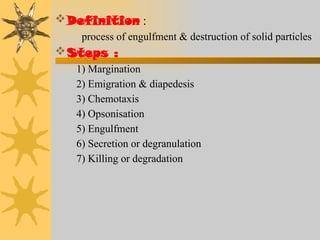 White blood cells- synthesis, function, reulation | PPTX